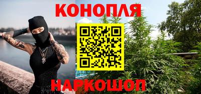прущие грибы Рязань