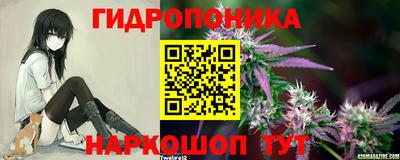 наркотики Пугачёв