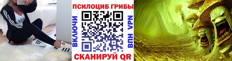 Галлюциногенные грибы Psilocybe  Дагестанские Огни 