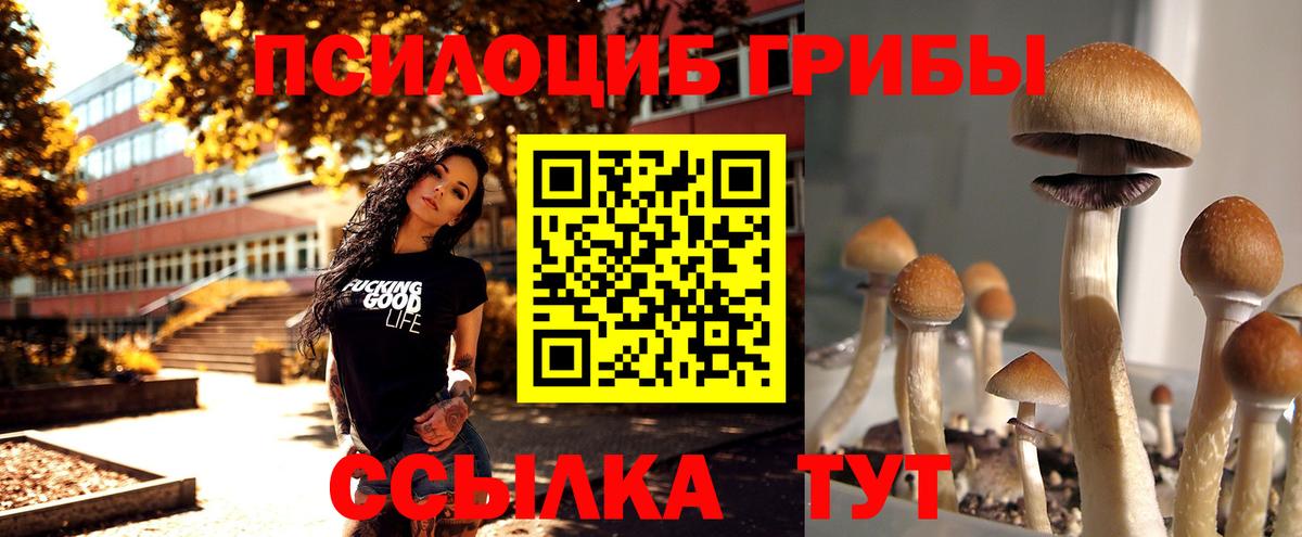 Галлюциногенные грибы мицелий  Вход с VPN  Дагестанские Огни  Галлюциногенные грибы Magic Shrooms 